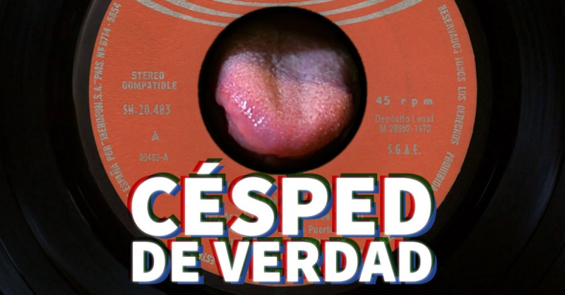 Cesped De Verdad